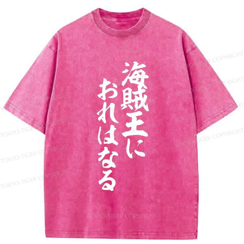 Tokyo-Tiger Funny Japanese Quotes Washed T-Shirt