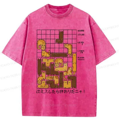 Tokyo-Tiger Funny Next Mistake Is The End Washed T-Shirt
