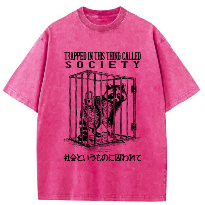 Tokyo-Tiger Trapped By Society Washed T-Shirt