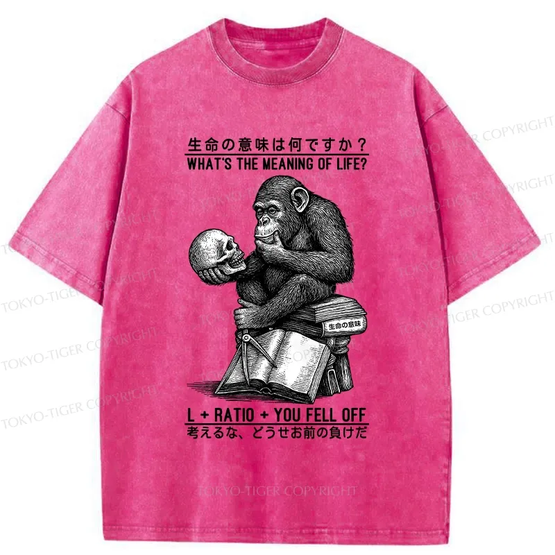 Tokyo-Tiger What's The Meaning Of Life? Washed T-Shirt