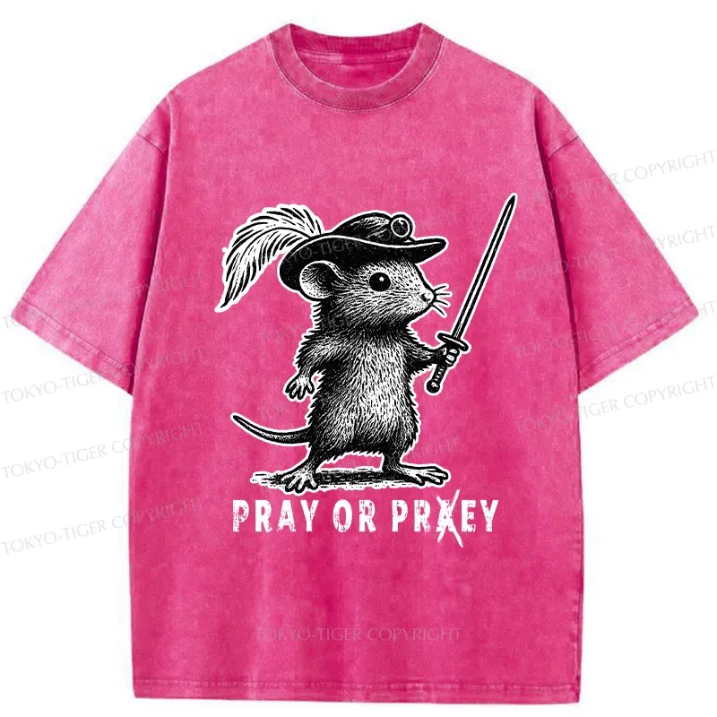 Tokyo-Tiger Pray Or Prey Washed T-Shirt