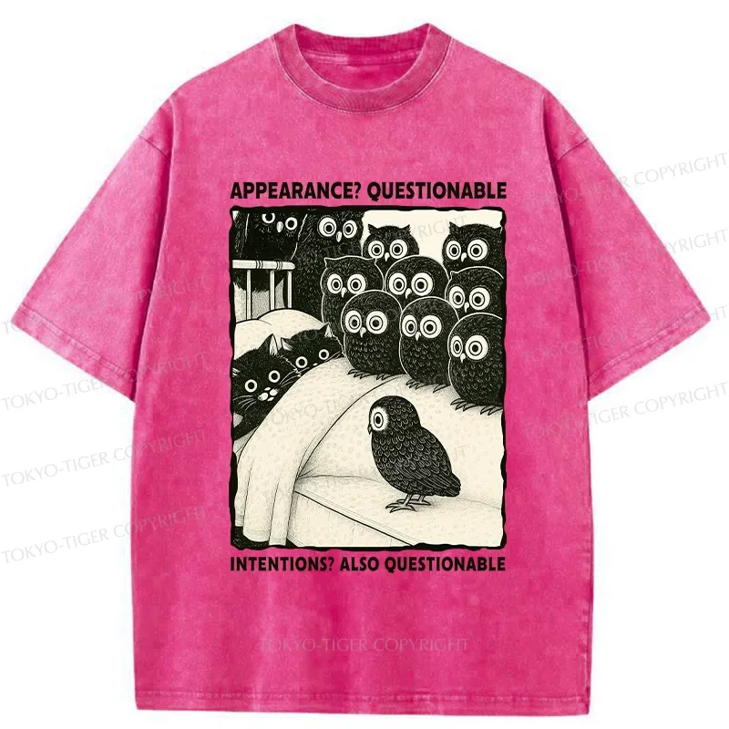 Tokyo-Tiger Appearance And Intentions Questionable Washed T-Shirt