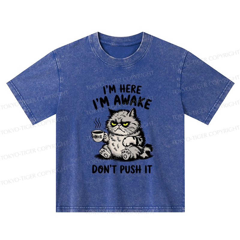 Tokyo-Tiger Tired Cat Kids Washed T-Shirt