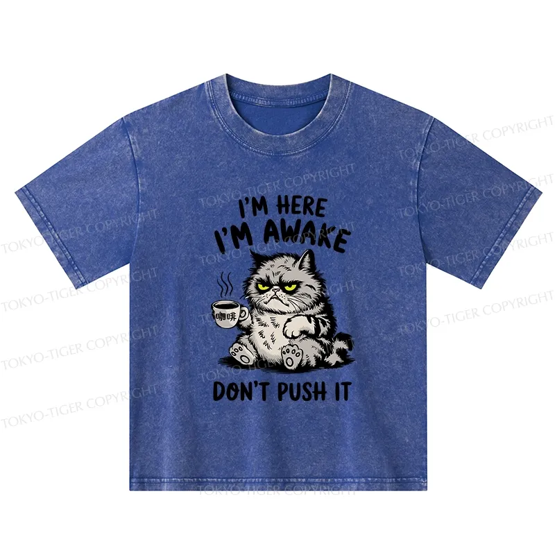 Tokyo-Tiger Tired Cat Kids Washed T-Shirt