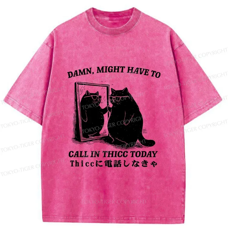 Tokyo-Tiger Cat Admiring Himself Washed T-Shirt