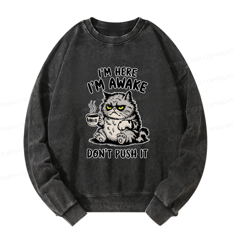 Tokyo-Tiger Tired Cat Washed Sweatshirt