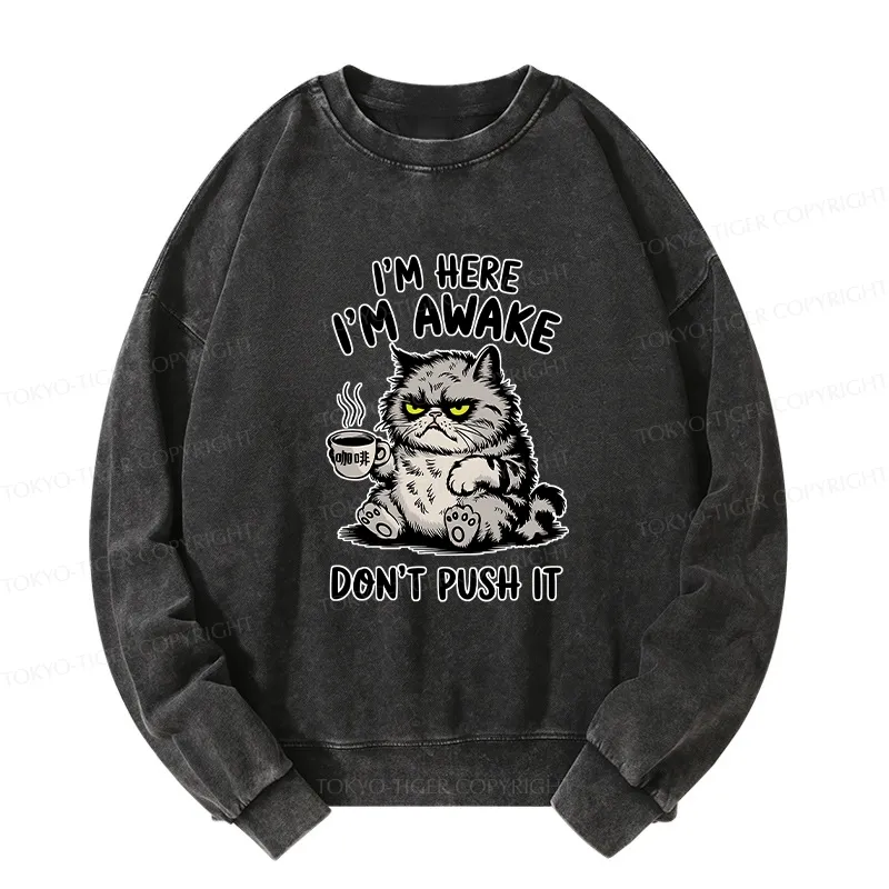 Tokyo-Tiger Tired Cat Washed Sweatshirt