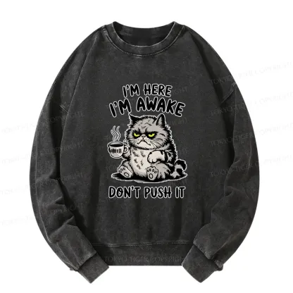 Tokyo-Tiger Tired Cat Washed Sweatshirt