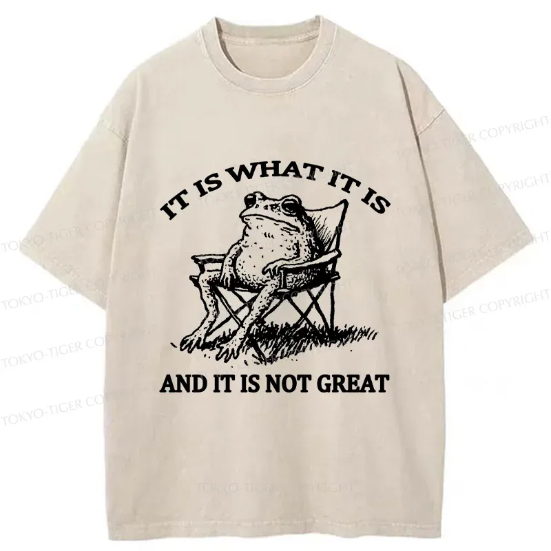 Tokyo-Tiger Resting Frog Funny Washed T-Shirt