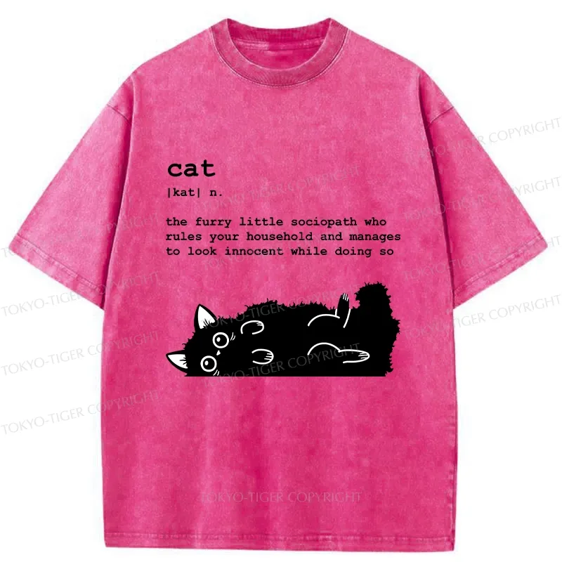 Tokyo-Tiger Definition Of Cat Funny Washed T-Shirt