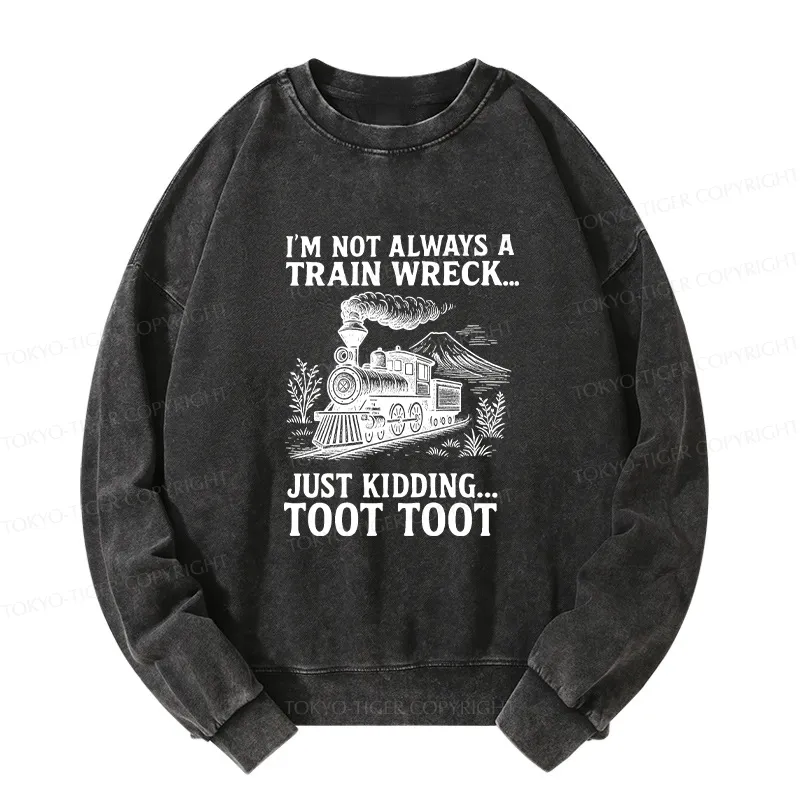Tokyo-Tiger Funny Train Jokes Washed Sweatshirt