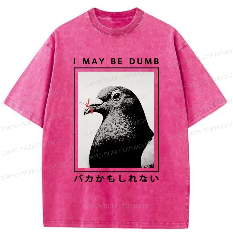 Tokyo-Tiger I May Be Dumb Funny Washed T-Shirt