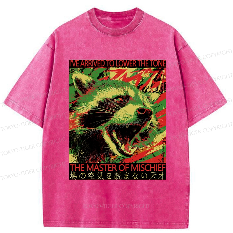 Tokyo-Tiger The Master Of Mischief Washed T-Shirt
