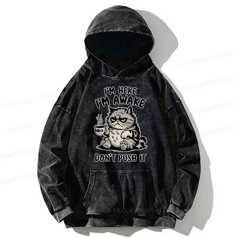 Tokyo-Tiger Tired Cat Washed Hoodie