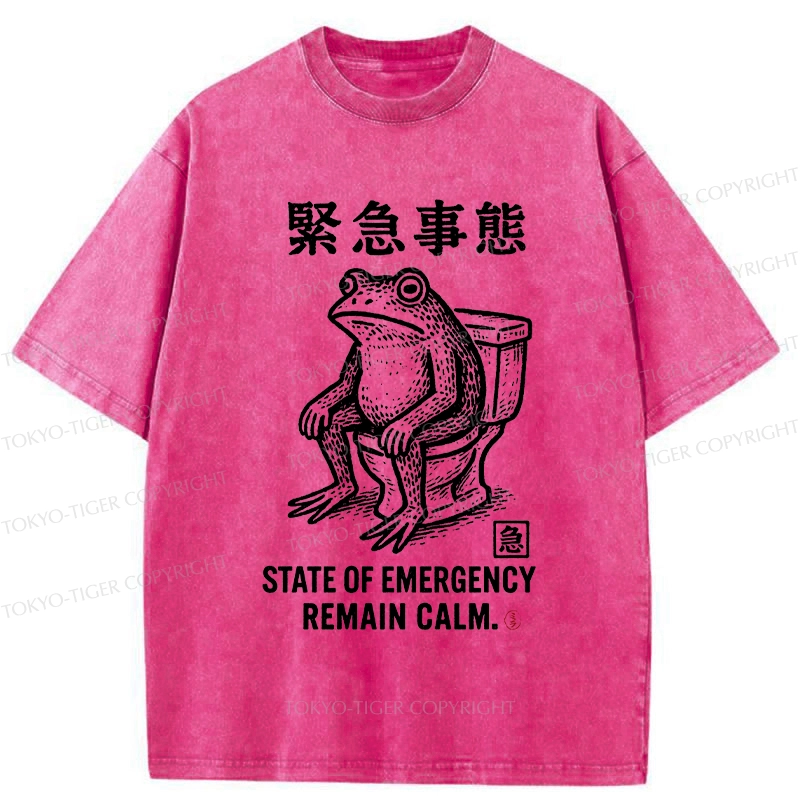 Tokyo-Tiger Funny Remain Calm Frog Washed T-Shirt
