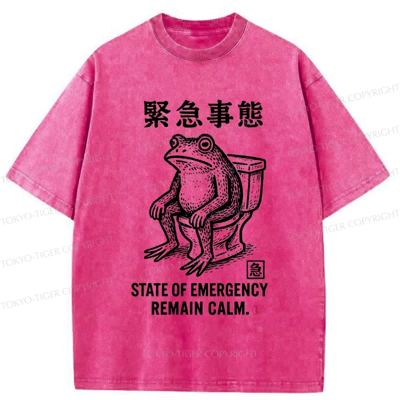 Tokyo-Tiger Funny Remain Calm Frog Washed T-Shirt