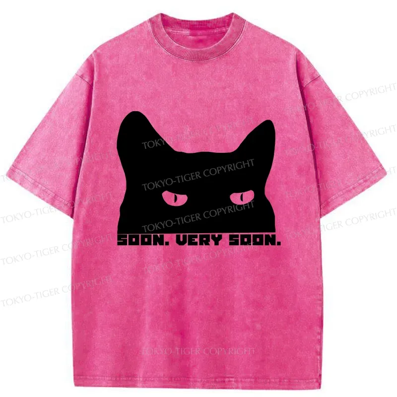 Tokyo-Tiger Cat Watching From Behind Washed T-Shirt