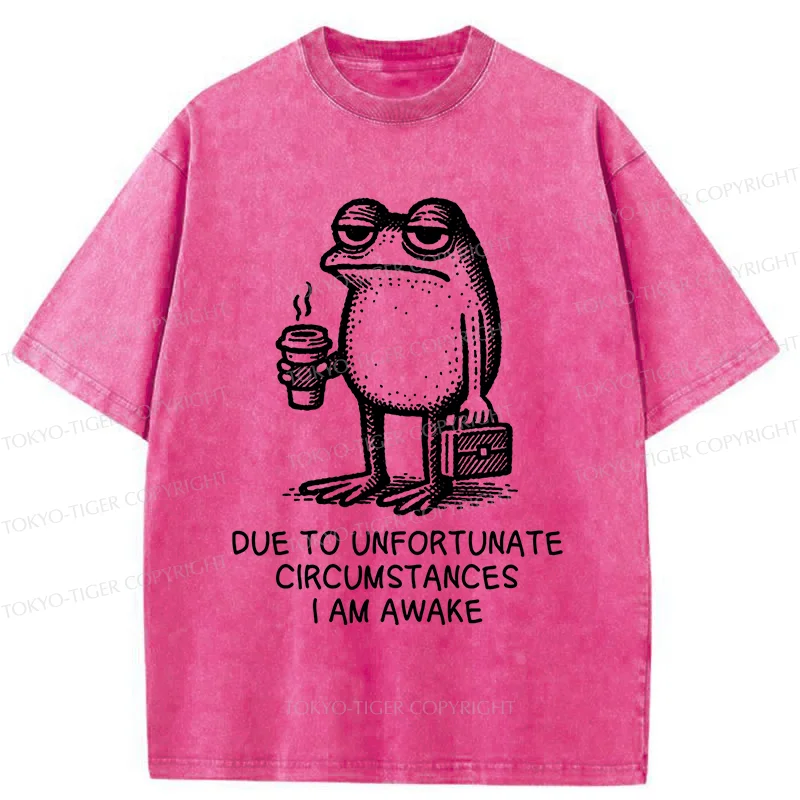 Tokyo-Tiger Decadent Frog Washed T-Shirt