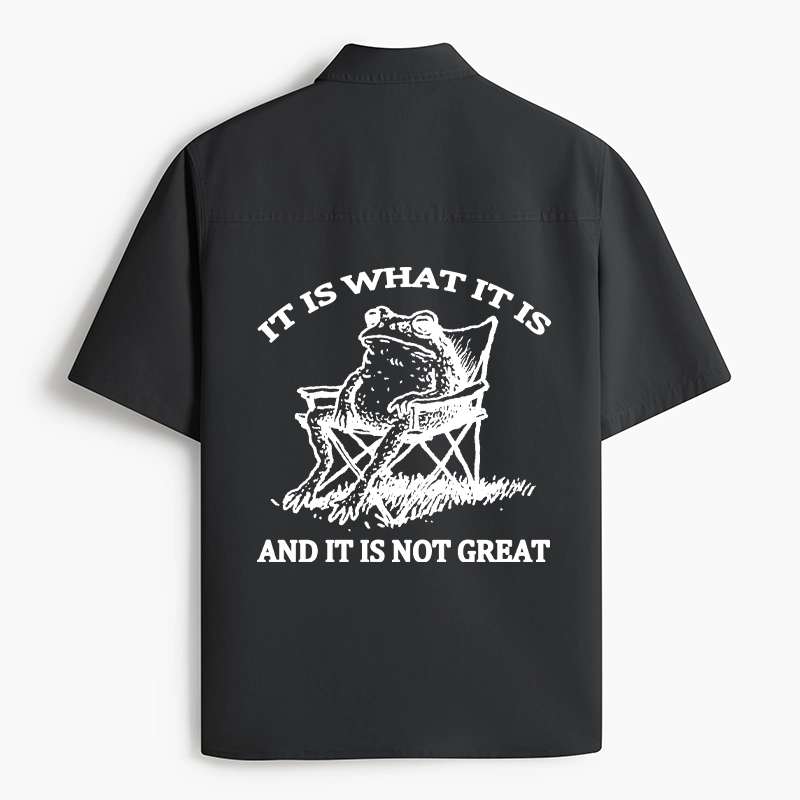 Tokyo-Tiger Resting Frog Funny Work Shirt