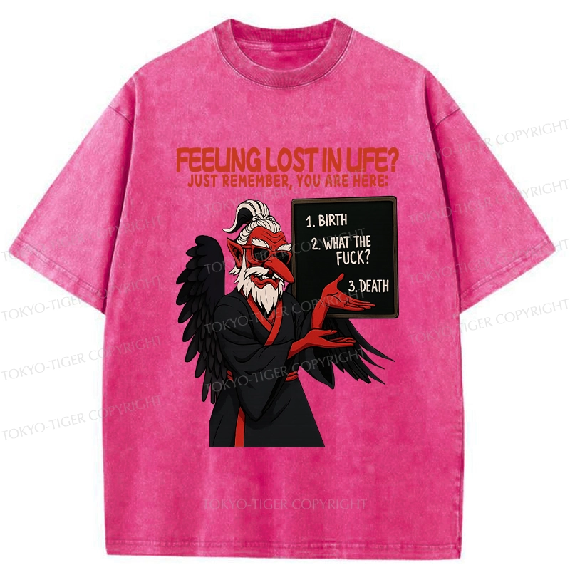 Tokyo-Tiger The Three Stages Of Life Funny Washed T-Shirt