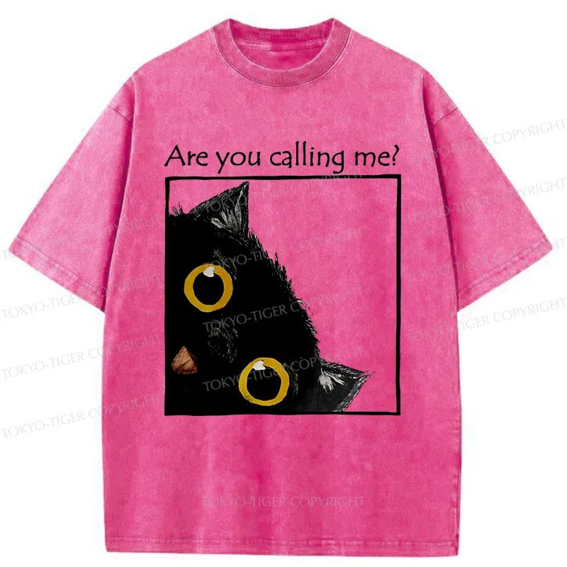 Tokyo-Tiger Silly Kitten Washed T-Shirt