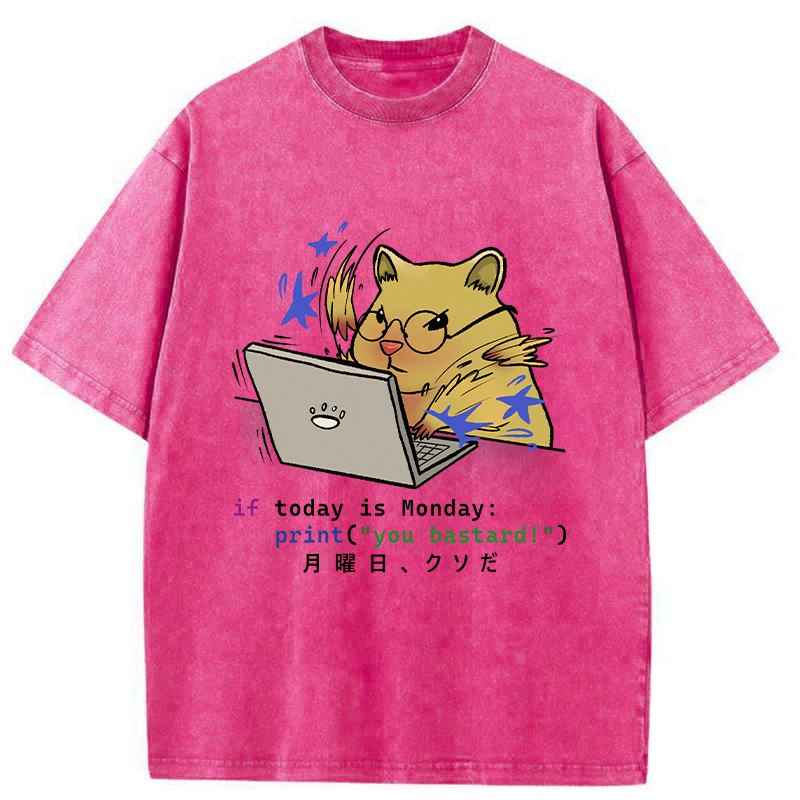Tokyo-Tiger Funny Programmer Hamster Washed T-Shirt