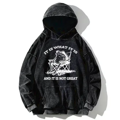 Tokyo-Tiger Resting Frog Funny Washed Hoodie
