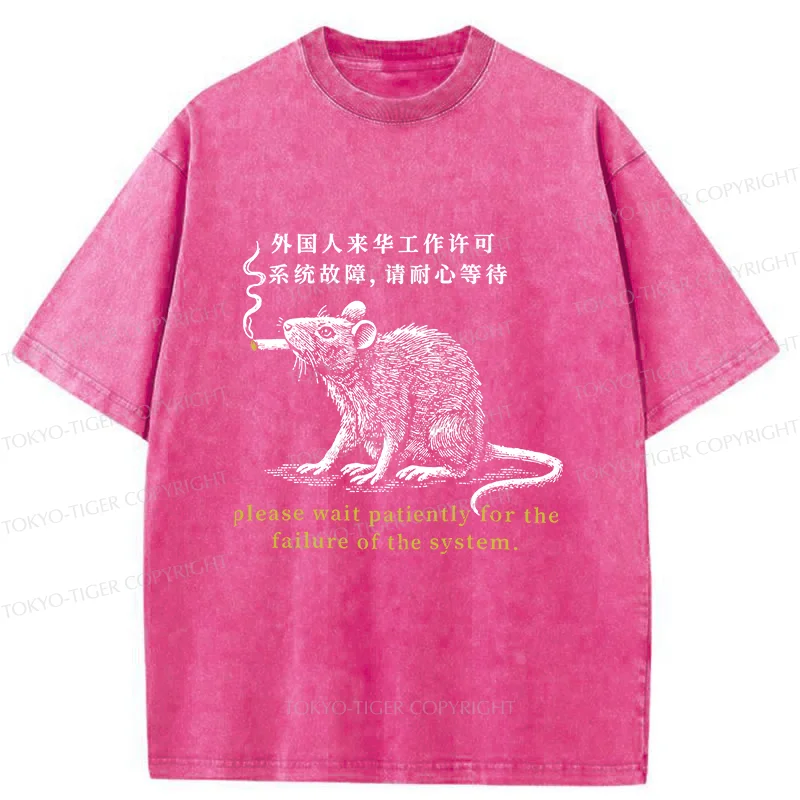 Tokyo-Tiger Travel Permit Washed T-Shirt