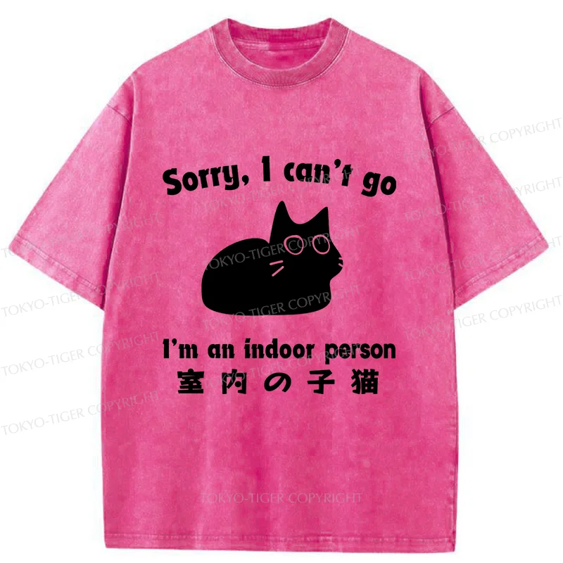 Tokyo-Tiger Indoor Kitten Japan Washed T-Shirt