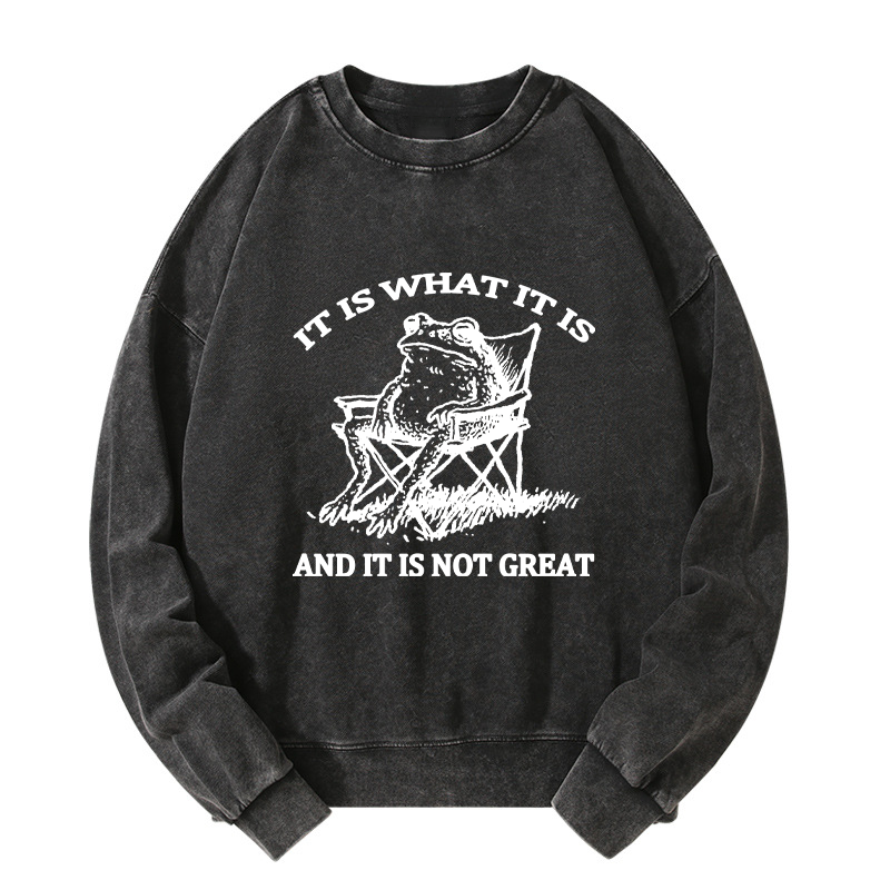 Tokyo-Tiger Resting Frog Funny Washed Sweatshirt