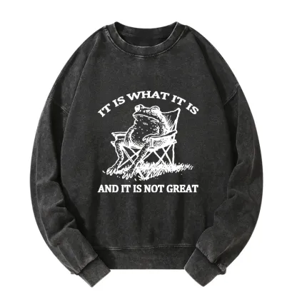 Tokyo-Tiger Resting Frog Funny Washed Sweatshirt