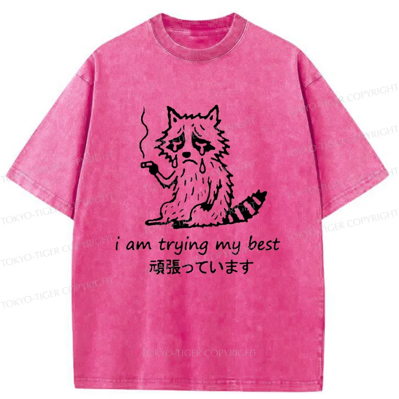 Tokyo-Tiger Raccoon Tried His Best Washed T-Shirt