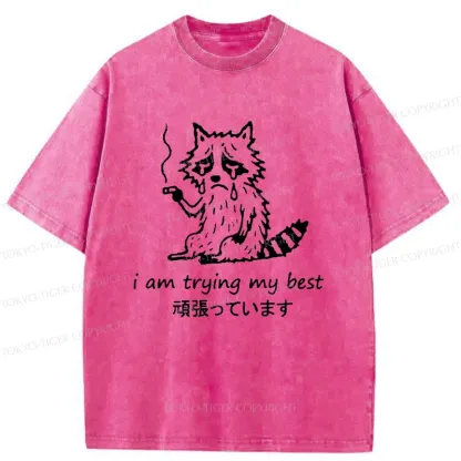Tokyo-Tiger Raccoon Tried His Best Washed T-Shirt