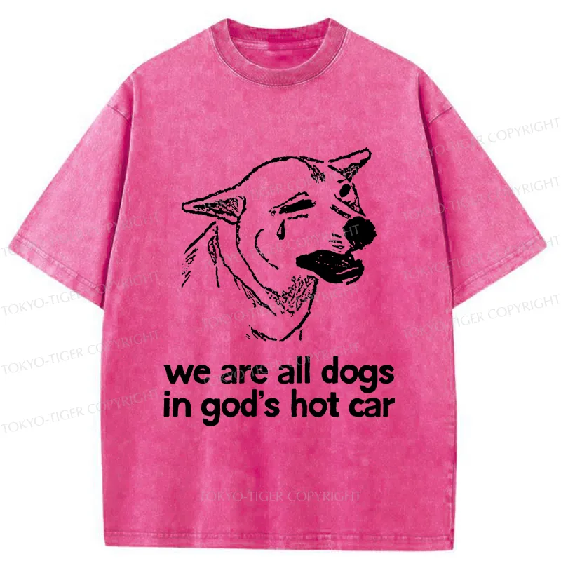 Tokyo-Tiger Sad Dog Funny Washed T-Shirt