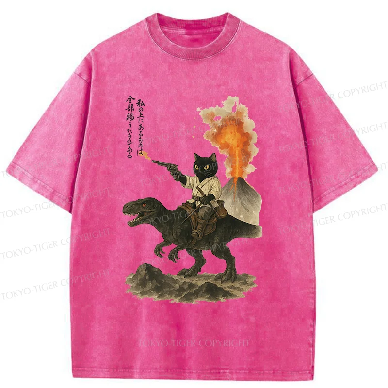 Tokyo-Tiger Cat Riding A Dinosaur Washed T-Shirt