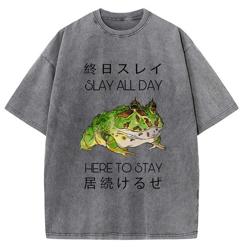 Tokyo-Tiger Slay All Day Washed T-Shirt