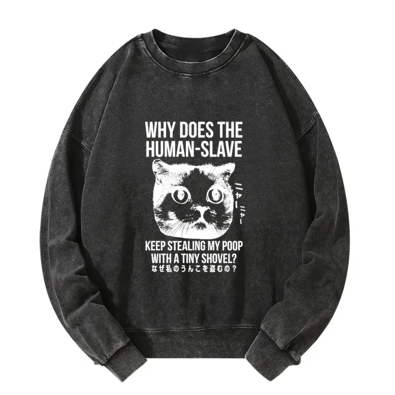 Tokyo-Tiger Cat Thinking About human Washed Sweatshirt