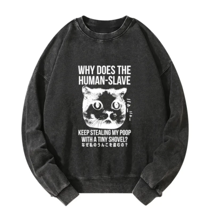 Tokyo-Tiger Cat Thinking About human Washed Sweatshirt