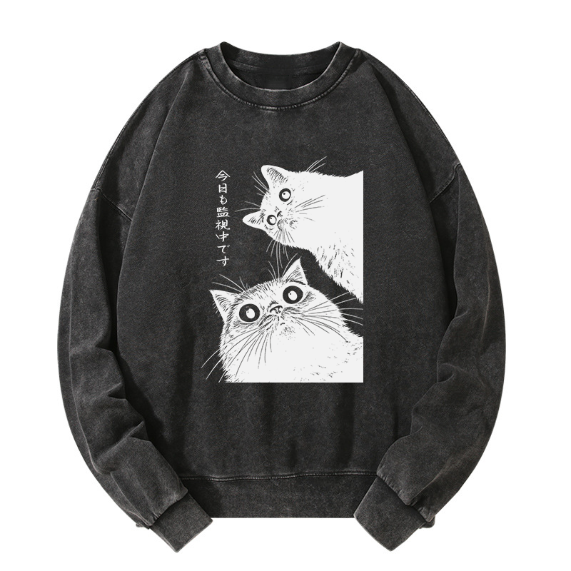 Tokyo-Tiger The Cat Is Watching Today Washed Sweatshirt
