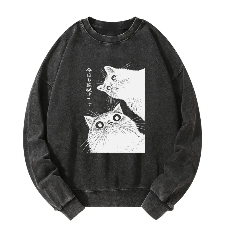 Tokyo-Tiger The Cat Is Watching Today Washed Sweatshirt