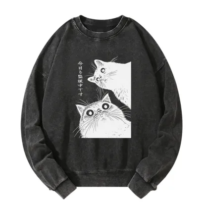 Tokyo-Tiger The Cat Is Watching Today Washed Sweatshirt