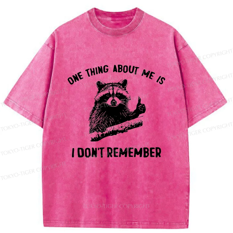 Tokyo-Tiger Amnesiac Raccoon Washed T-Shirt