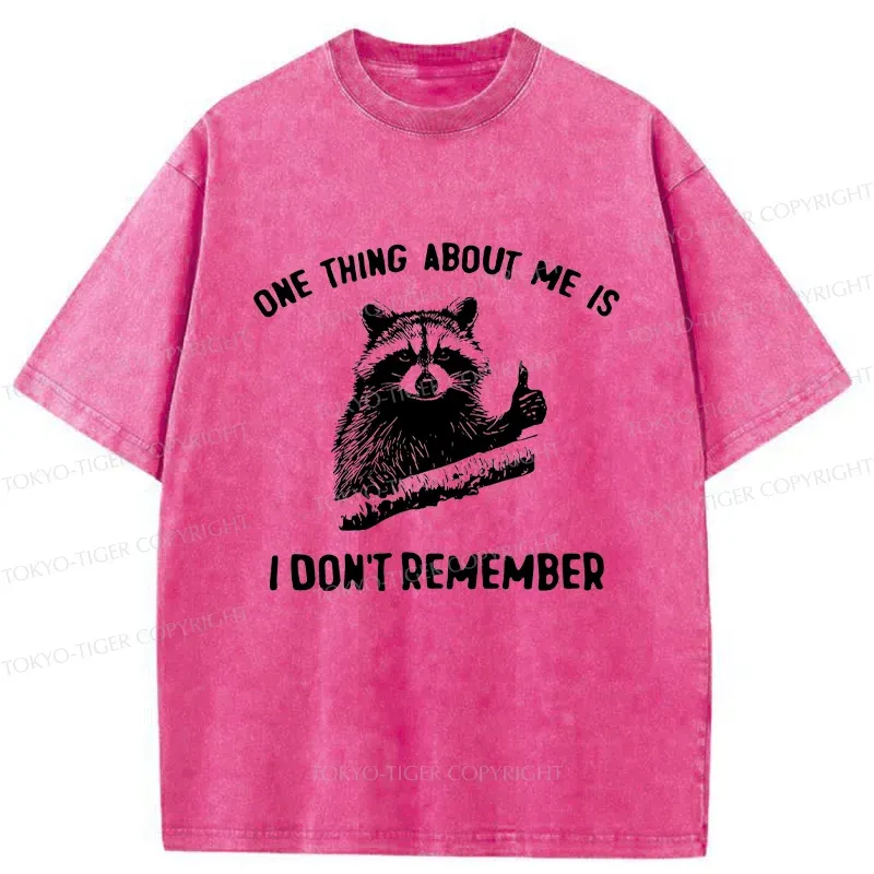 Tokyo-Tiger Amnesiac Raccoon Washed T-Shirt