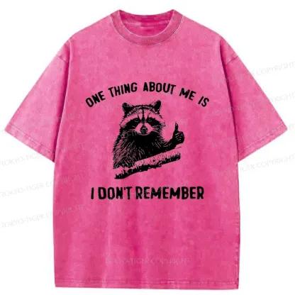 Tokyo-Tiger Amnesiac Raccoon Washed T-Shirt