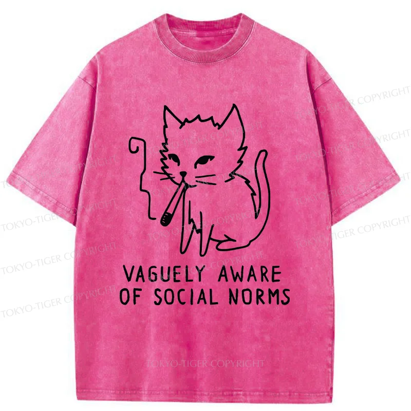 Tokyo-Tiger Uncontrolled Cat Washed T-Shirt