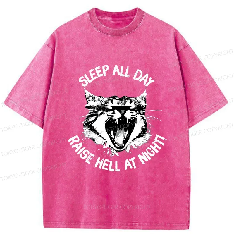 Tokyo-Tiger Cat Wreaking Havoc At Night Washed T-Shirt