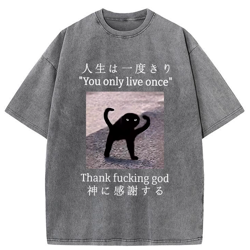 Tokyo-Tiger Funny Mysterious Cat Washed T-Shirt