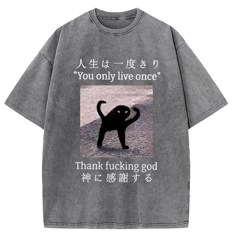 Tokyo-Tiger Funny Mysterious Cat Washed T-Shirt