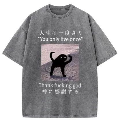 Tokyo-Tiger Funny Mysterious Cat Washed T-Shirt