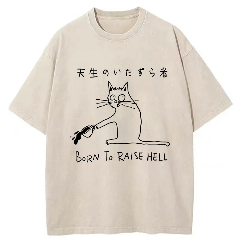 Tokyo-Tiger Trouble Maker Washed T-Shirt